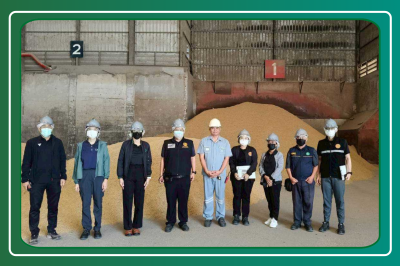 เข้าร่วมตรวจสต็อกข้าวตามโครงการชดเชยดอกเบี้ย ... พารามิเตอร์รูปภาพ 1